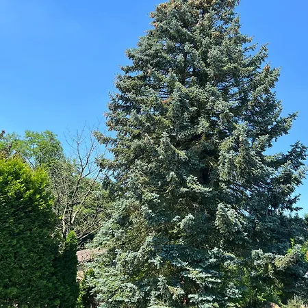 Blue Bruxelles Sud Vakantiehuis