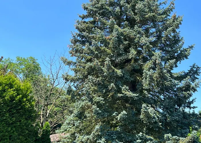 Blue Bruxelles Sud Ferienhaus